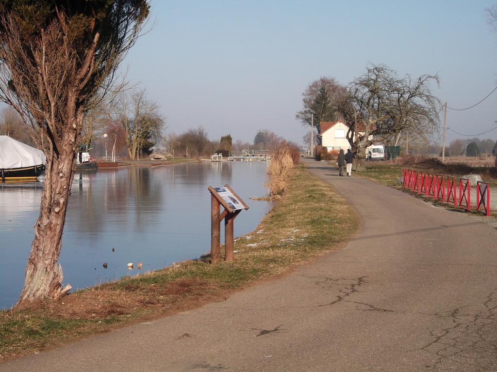 Gite Les Rosiers Traubach-le-Bas エクステリア 写真